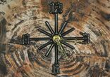 Wide Arizona Petrified Wood Clock #66831-1